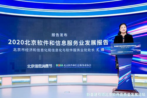 新基建引領北京軟件產業高質量發展論壇圓滿落幕，共繪信息咨詢服務新藍圖